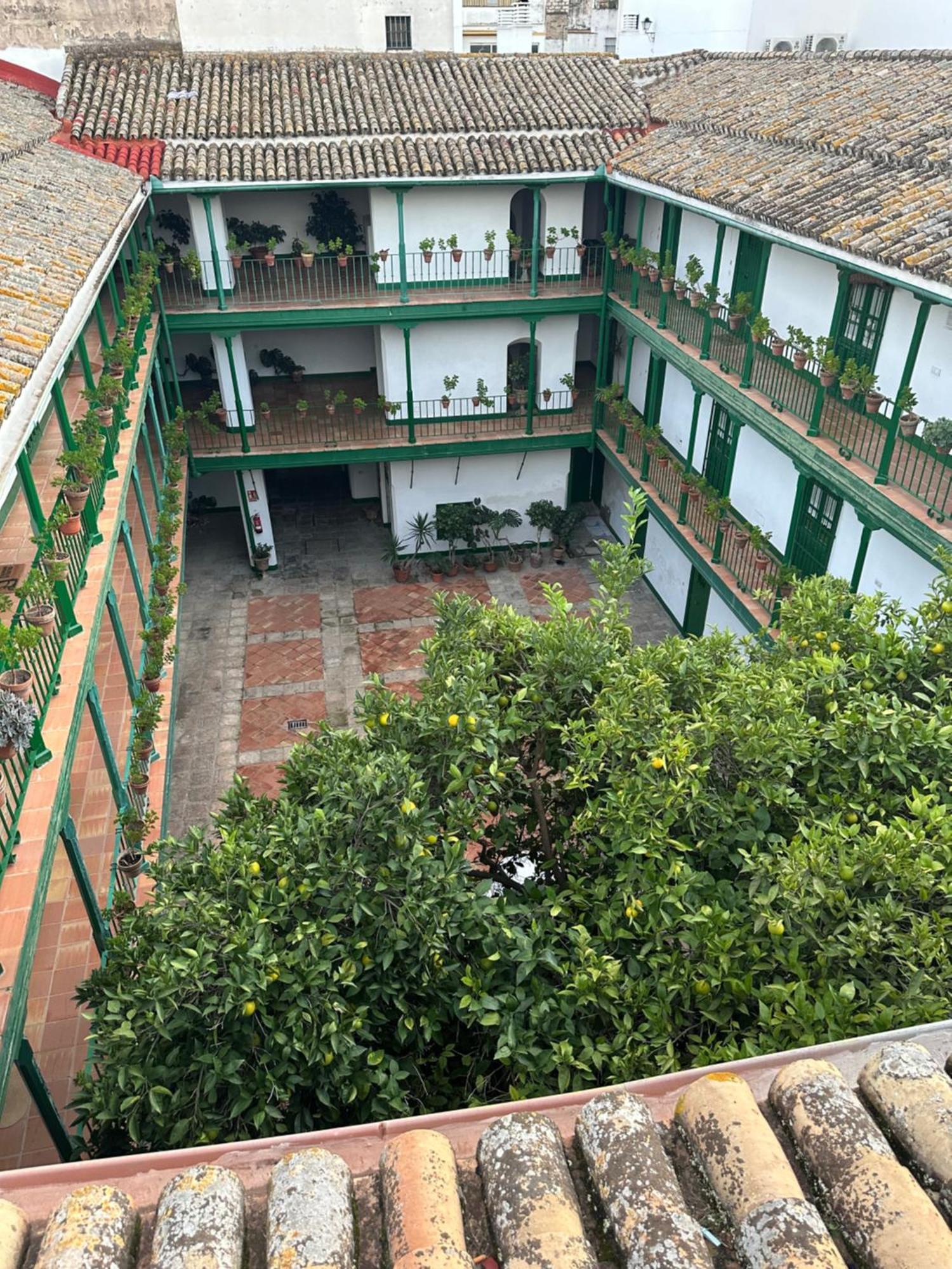 Casa Duque Compartida Familiar 1-Habitacion Con Bano Propio Sevilla Exterior foto